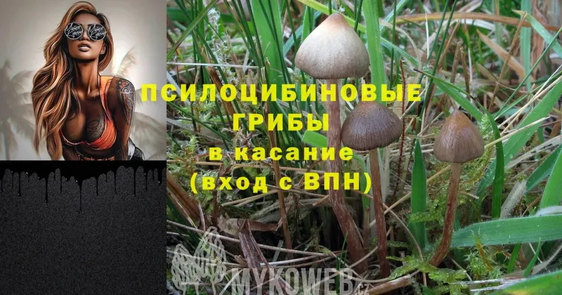 МЕГА зеркало  Северская  Псилоцибиновые грибы Magic Shrooms  купить наркотики цена 